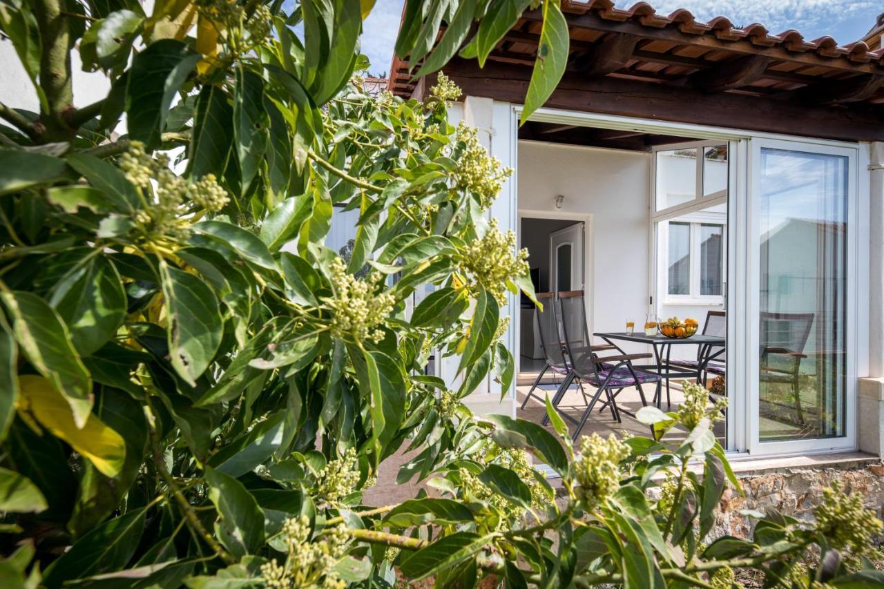 Avocado Apartment Dubrovnik Kültér fotó